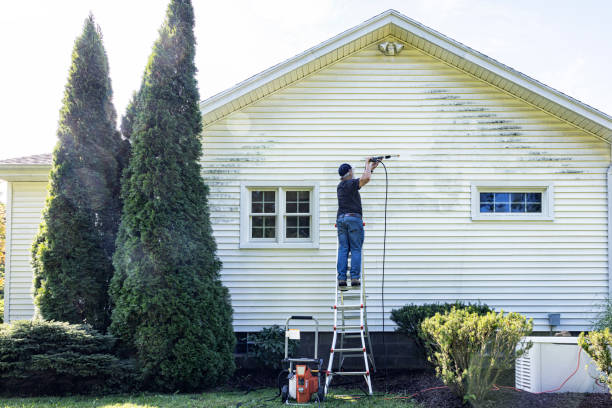 Best Driveway Pressure Washing  in Belle Mead, NJ